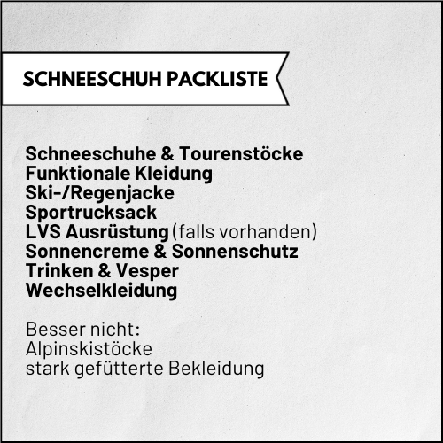 Schneeschuhtour zum Schnuppern