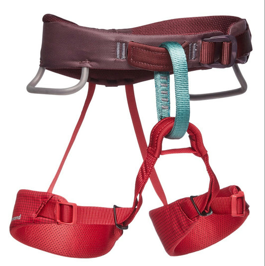 MOMENTUM HARNESS - KIDS'